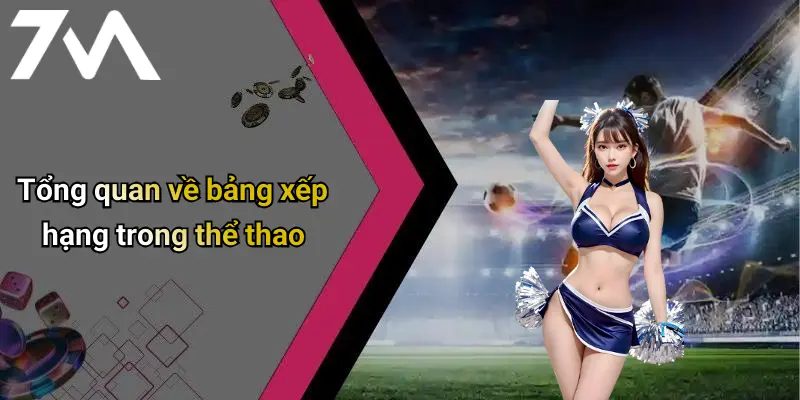 Tổng quan về bảng xếp hạng trong thể thao