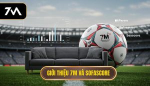 Giới Thiệu Tổng Quan Về 7M và Sofascore