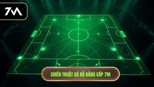 Chiến thuật cá độ đẳng cấp 7M